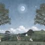 Kids Forest Animals Landscape Wallpaper Mural