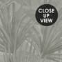 Monochrome Tropische Botanische Fototapete