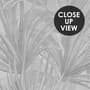Monochrome Tropische Botanische Fototapete