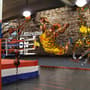 Sport Basketball Player Wallpaper Mural
