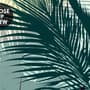 Tropical Palm Trees and Sunlight Wallpaper Mural