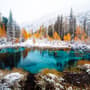 Winter Lake Landscape with Pine Forest Wallpaper Mural