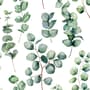 Watercolor Eucalyptus Leaf Wallpaper Mural