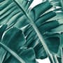 Tropical Palm Leaves Wallpaper Mural