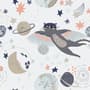 Cat Flying Over The Moon and Stars Wallpaper Mural