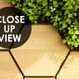 Hexagon Honeycomb Pattern and Fresh Grass Wallpaper Mural