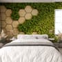 Hexagon Honeycomb Pattern and Fresh Grass Wallpaper Mural