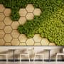 Hexagon Honeycomb Pattern and Fresh Grass Wallpaper Mural