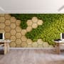 Hexagon Honeycomb Pattern and Fresh Grass Wallpaper Mural