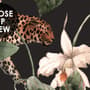 Aquarell Dunkle Tropische Kunst mit Leopard Fototapete