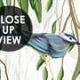 Green Hanging Leaves with Colorful Birds Wallpaper Mural