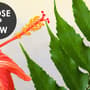 Realistic Tropical Jungle Plants Landscape Wallpaper Mural