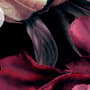 Dark Watercolor Colorful Peony Floral Wallpaper Mural