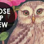 Watercolor Cute Kids Forest Animals in Forest Wallpaper Mural