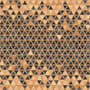 Geometric Triangle Shape Wood Texture Effect Wall Mural 