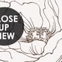 Poppy Drawing Floral Wallpaper Mural