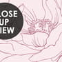 Poppy Drawing Floral Wallpaper Mural