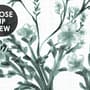 Monochrome Botanical Plants Chinoiserie Wallpaper Mural