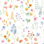 Watercolor Colorful Botanical Wild Flower Wallpaper Mural