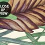 Watercolor Green Tropical Leaves Wallpaper Mural