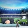 Football Sport Stadium Wallpaper Mural