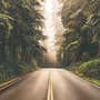 Highway on the Forest Landscape Wallpaper Mural