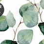 Watercolor Eucalyptus Leaf Pattern Wallpaper Mural