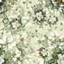 Papier peint panoramique fleur de rose vintage