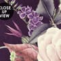 Vintage Dark Floral Bouquet Wallpaper Mural