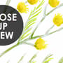 Papier peint panoramique floral aux herbes jaunes