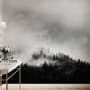 Misty Dark Forest Landscape Wallpaper Mural