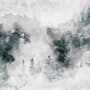 Watercolor Style Abstract Misty Dark Forest Wallpaper Mural