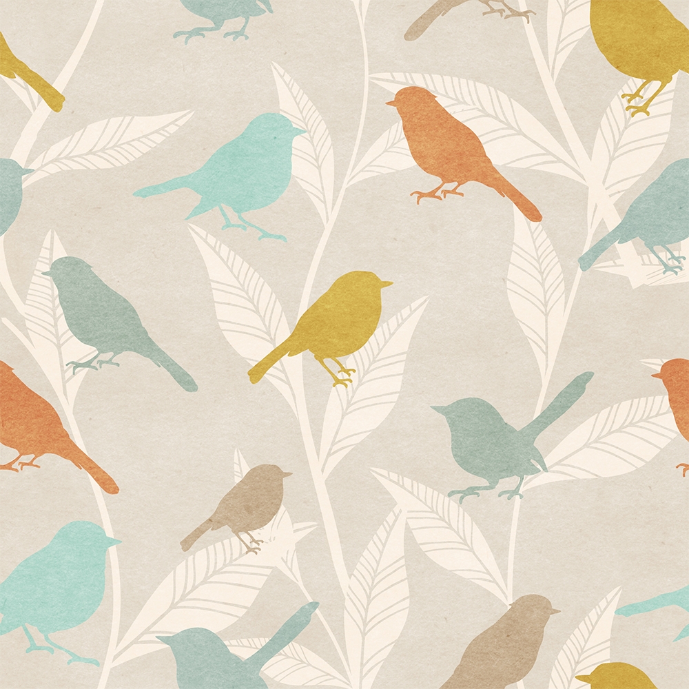 Papier peint panoramique d'oiseaux européens colorés