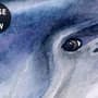 Kinder Unterwasser Tiere Wandtattoo