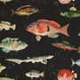 Vintage Ocean Fish Art Wallpaper Mural