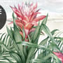 Tropical Landscape with Flamingos Wallpaper Mural