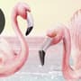 Tropical Landscape with Flamingos Wallpaper Mural