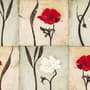 Papier peint panoramique vintage rouge et blanc
