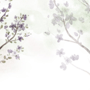 Watercolor Magnolia Floral Wallpaper Mural