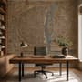 Antique European City Map Wallpaper Mural